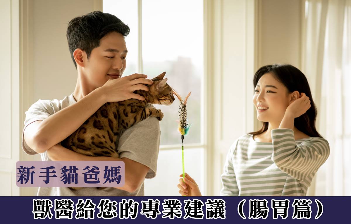 新手毛孩爸媽｜獸醫的話：解開幼犬3大餵食迷思