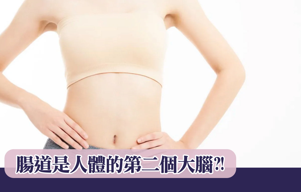 腸道是人體的第二個大腦?!